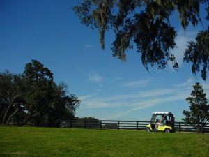 golf cart on golf court